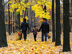 Sozialpädagogische Familienhilfe Sozialpädagogische Familienhilfe